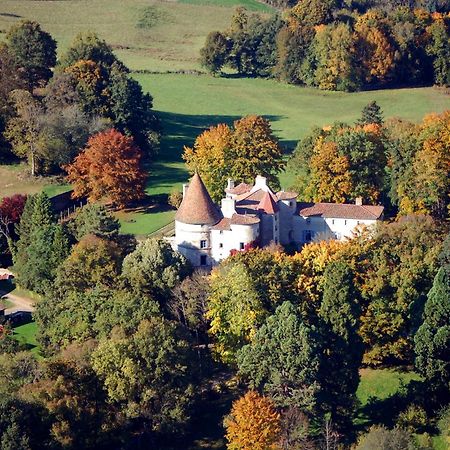 Chateau Des Martinanches Saint-Dier-d'Auvergne Ngoại thất bức ảnh