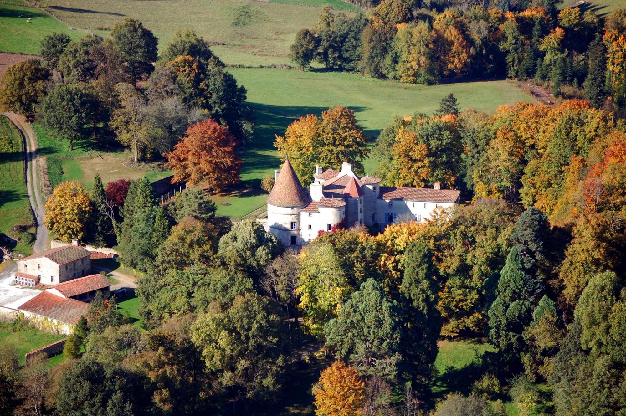 Chateau Des Martinanches Saint-Dier-d'Auvergne Ngoại thất bức ảnh
