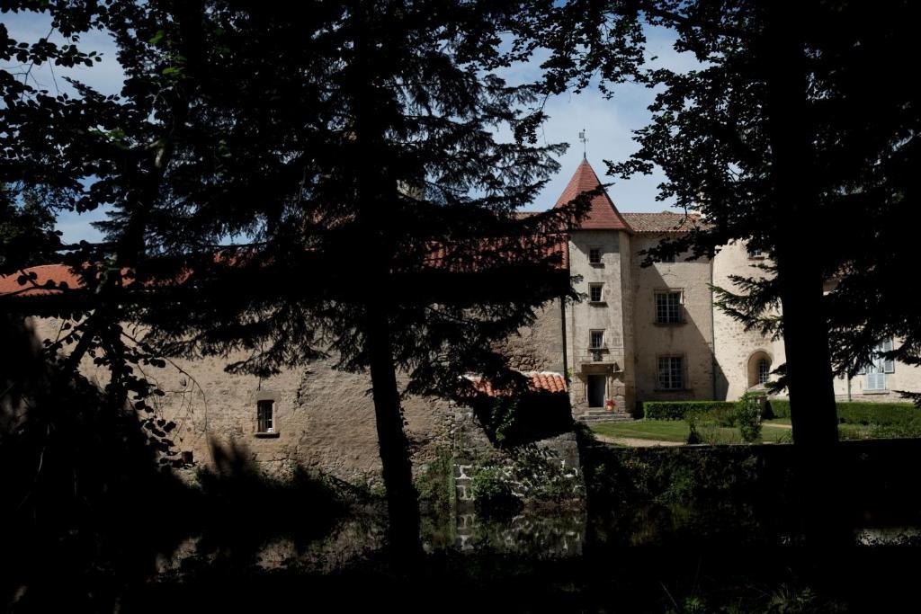 Chateau Des Martinanches Saint-Dier-d'Auvergne Ngoại thất bức ảnh