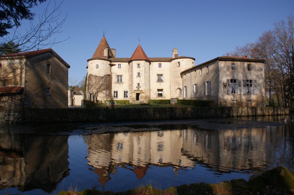 Chateau Des Martinanches Saint-Dier-d'Auvergne Ngoại thất bức ảnh