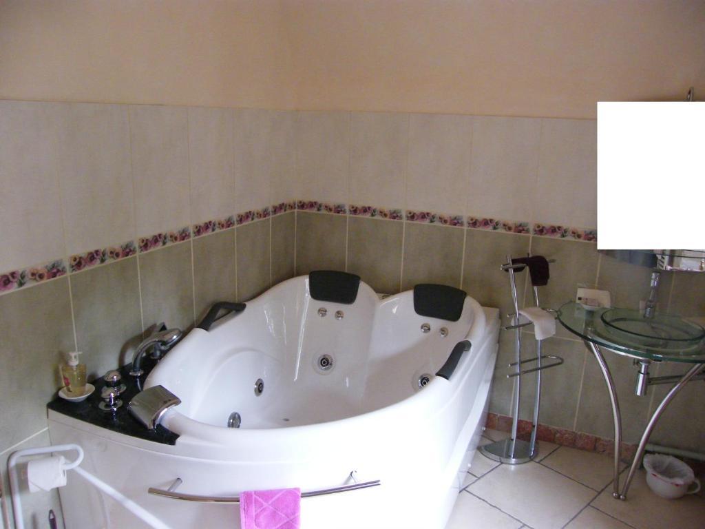 Chateau Des Martinanches Saint-Dier-d'Auvergne Phòng bức ảnh